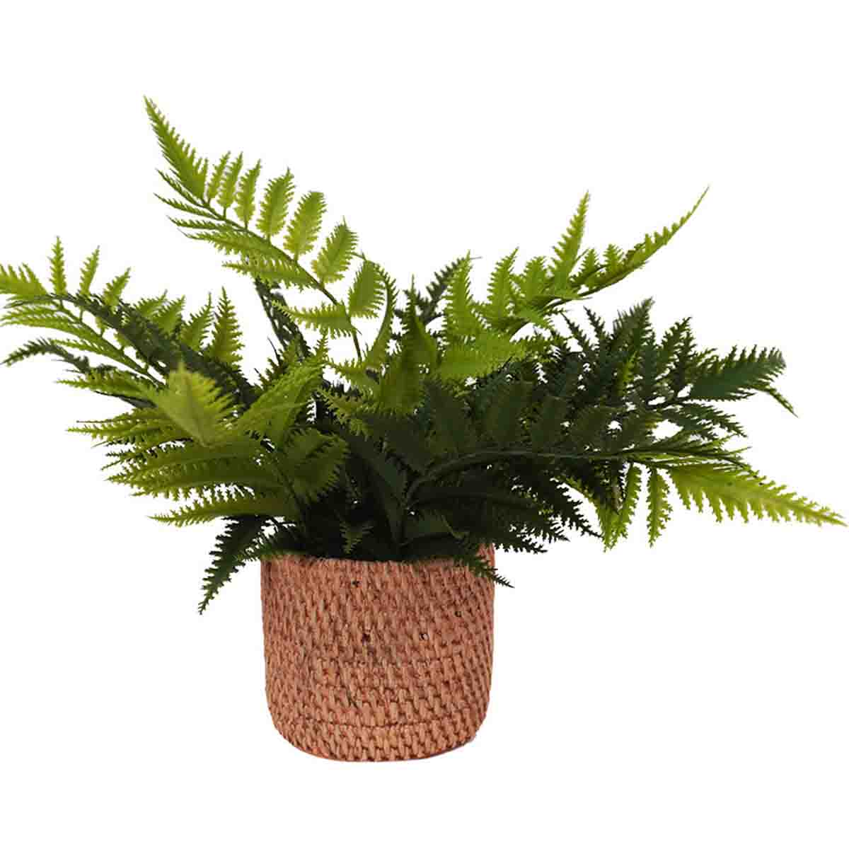 Artificial Fern Brown Cement Pot