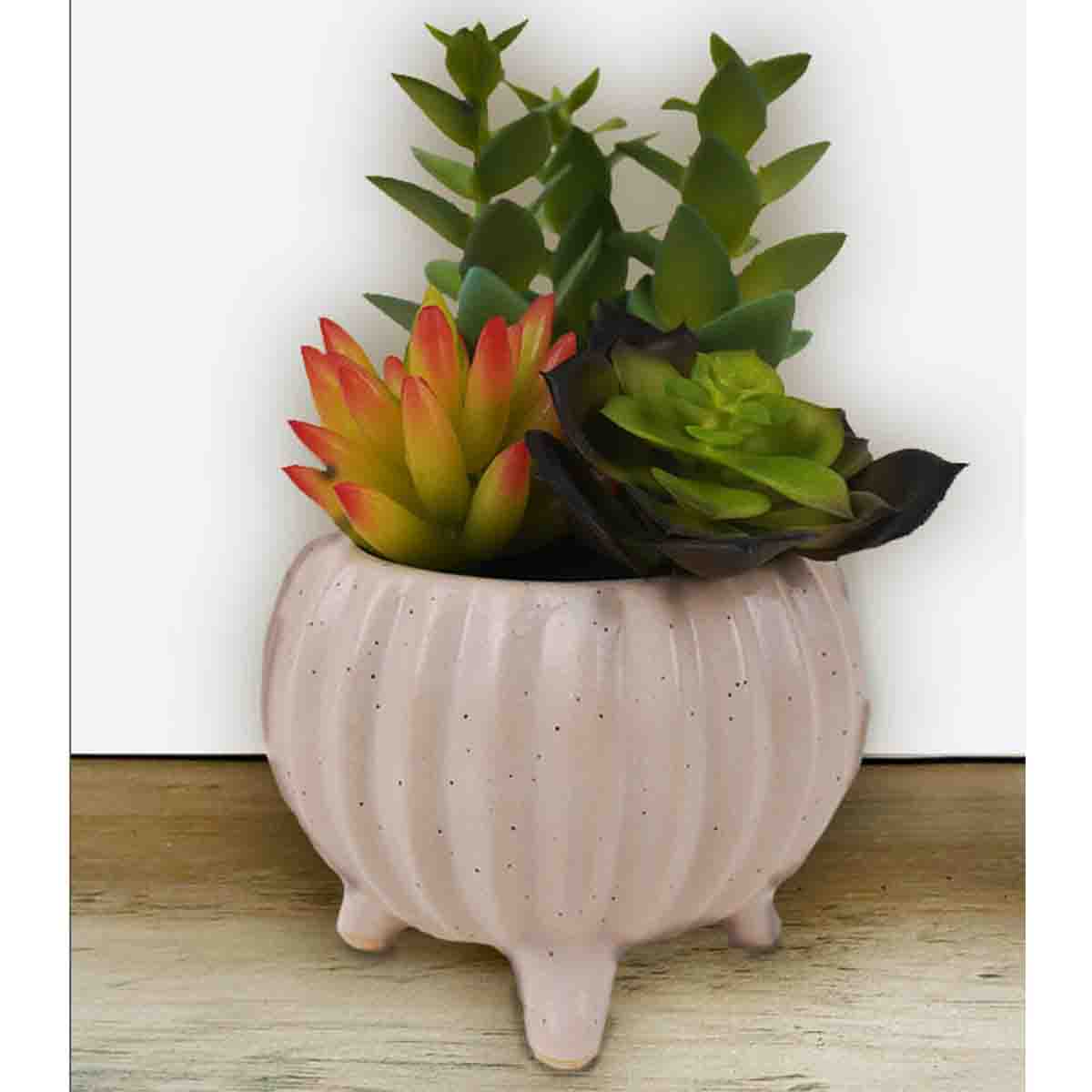 Artificial Succulent Plants in White Ceramic Footed Pot