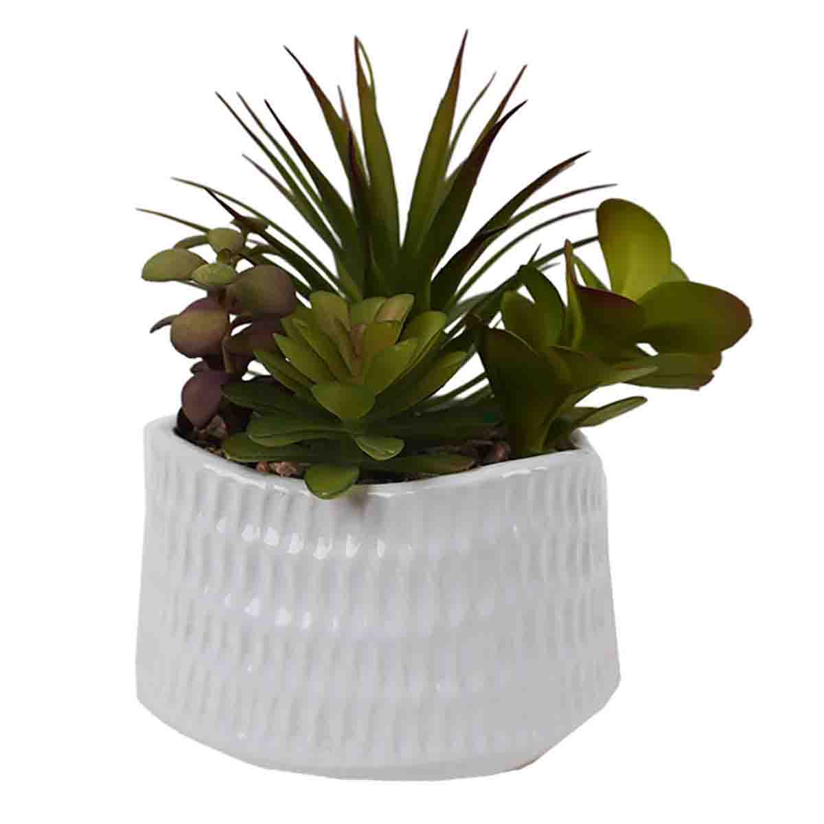 Artificial Succulents Plants in Elephant Pot & White Pot