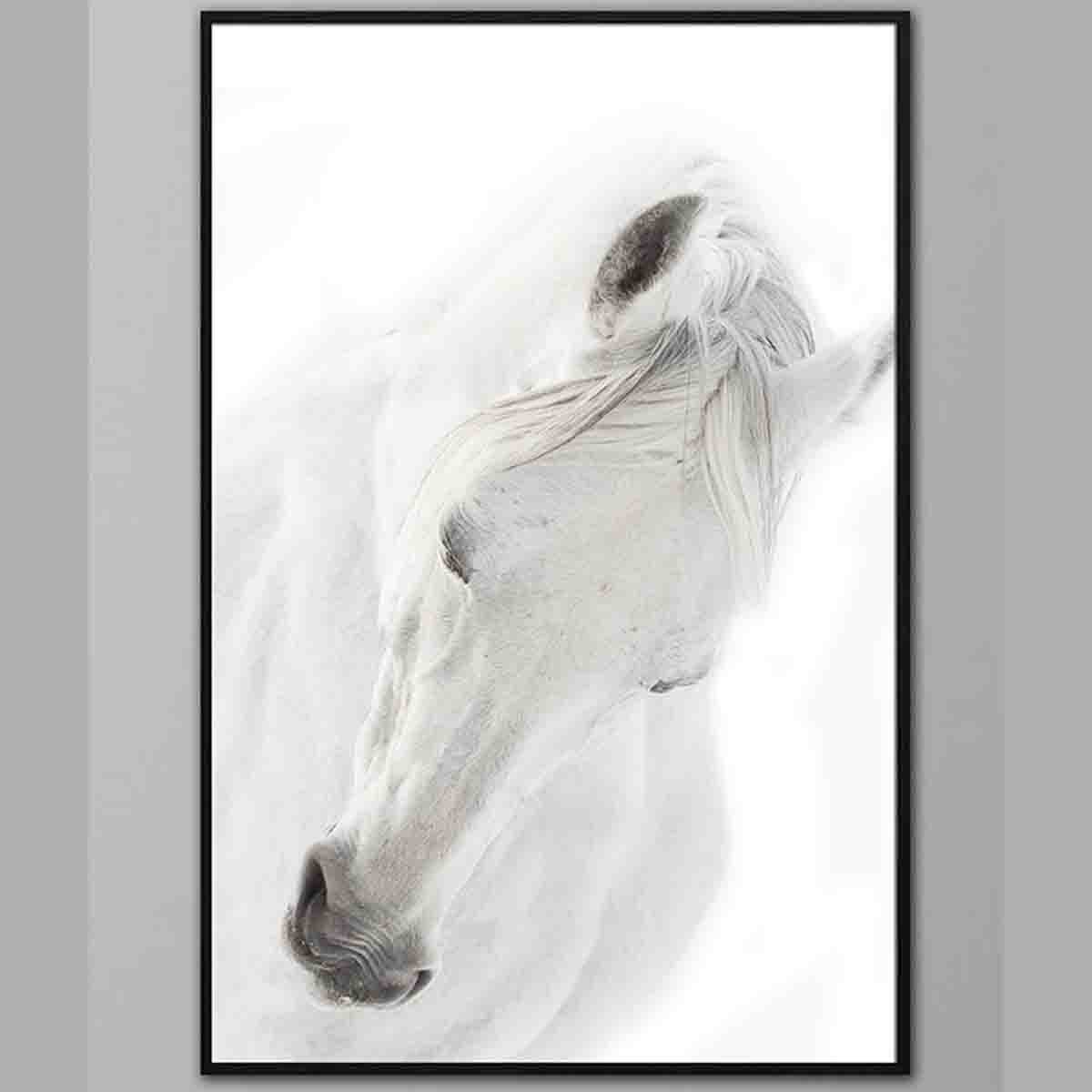 Lauren Taylor-animal Canvas Horse Print