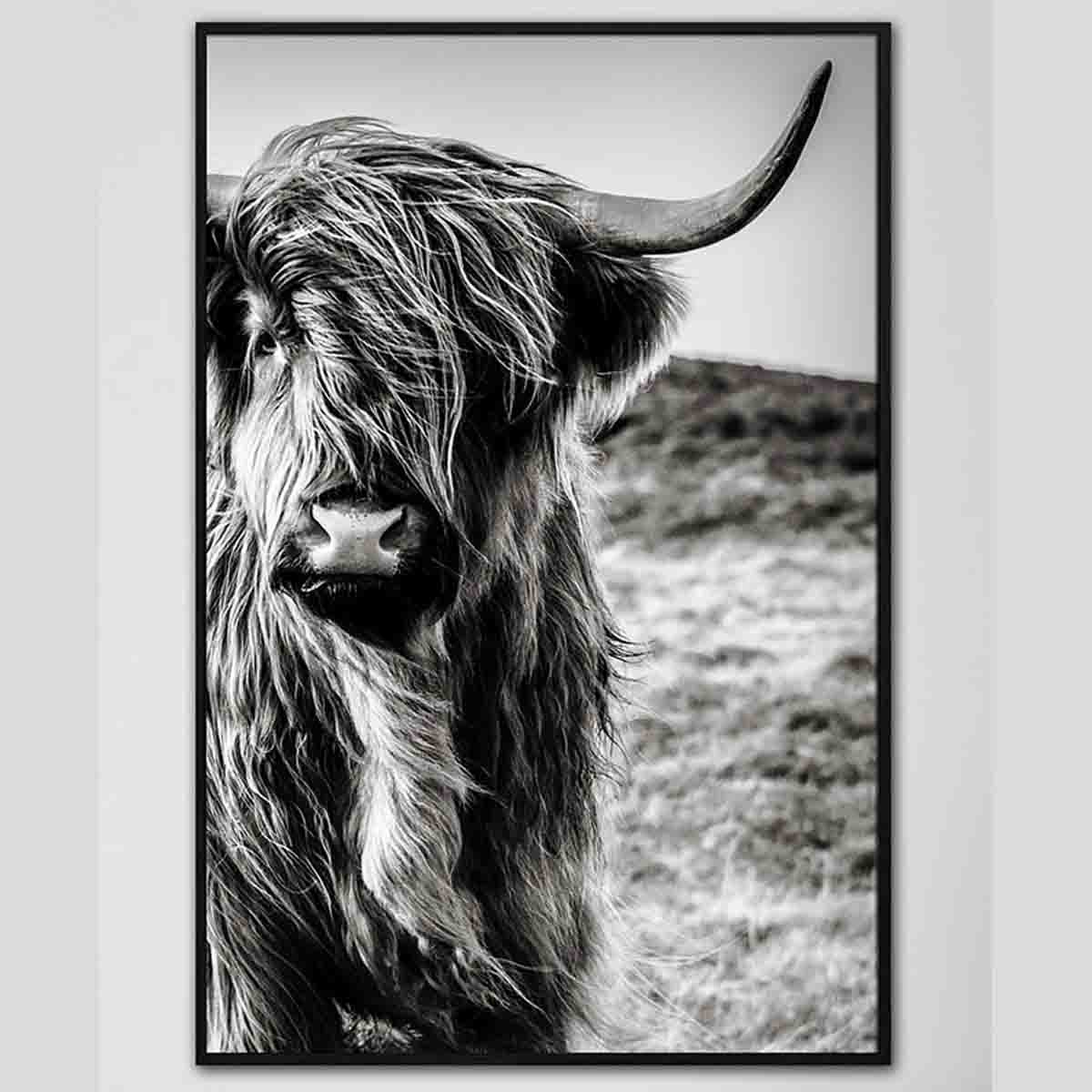Lauren Taylor-animal Canvas Cow Field Print