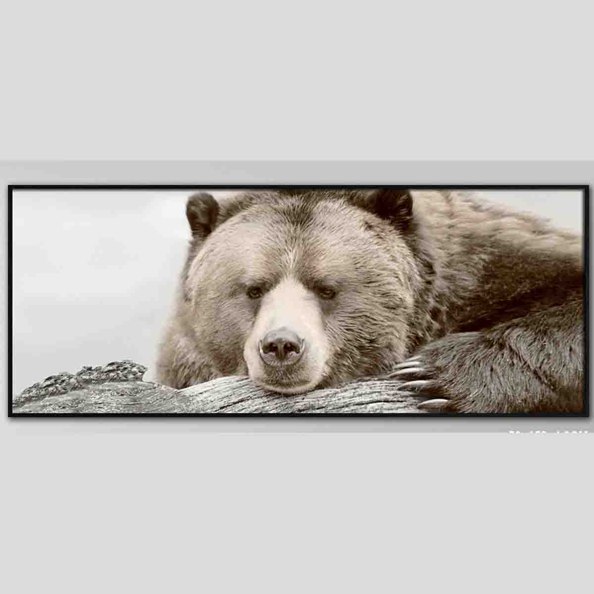Lauren Taylor-animal Bear Canvas Print