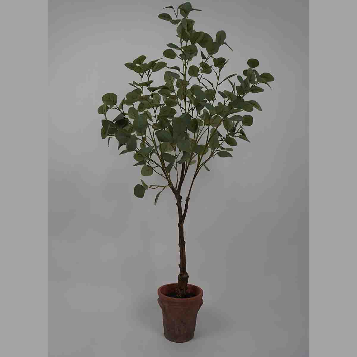 Lauren Taylor - Artificial Eucalyptus Tree in terra cotta Pot