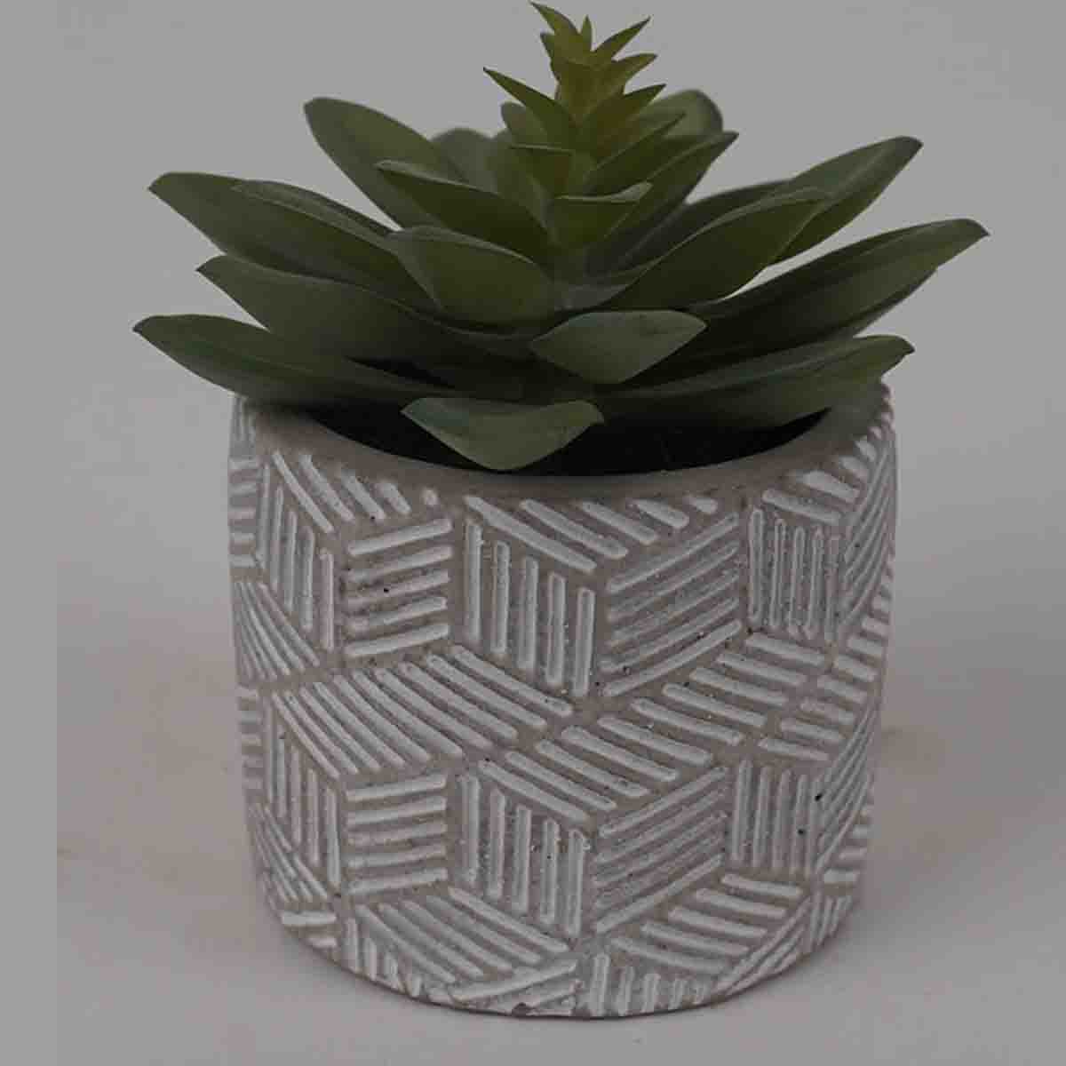 Lauren Taylor - Artificial Stout Succulents in Grey Cement Pot
