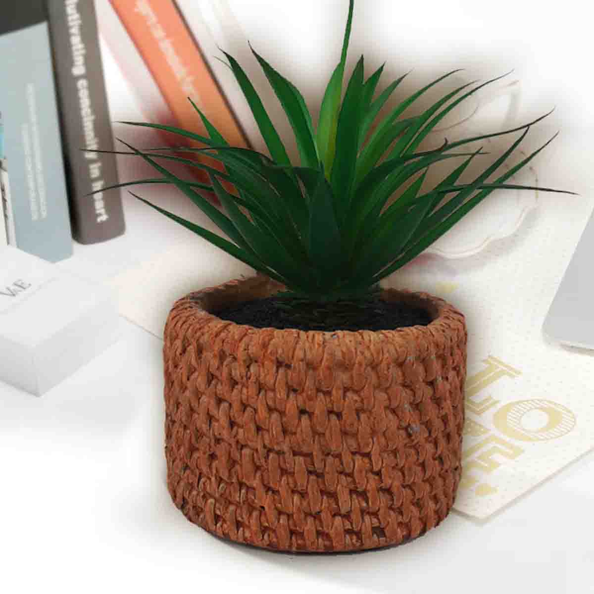 Lauren Taylor - Artificial Succulent in Cement Pot