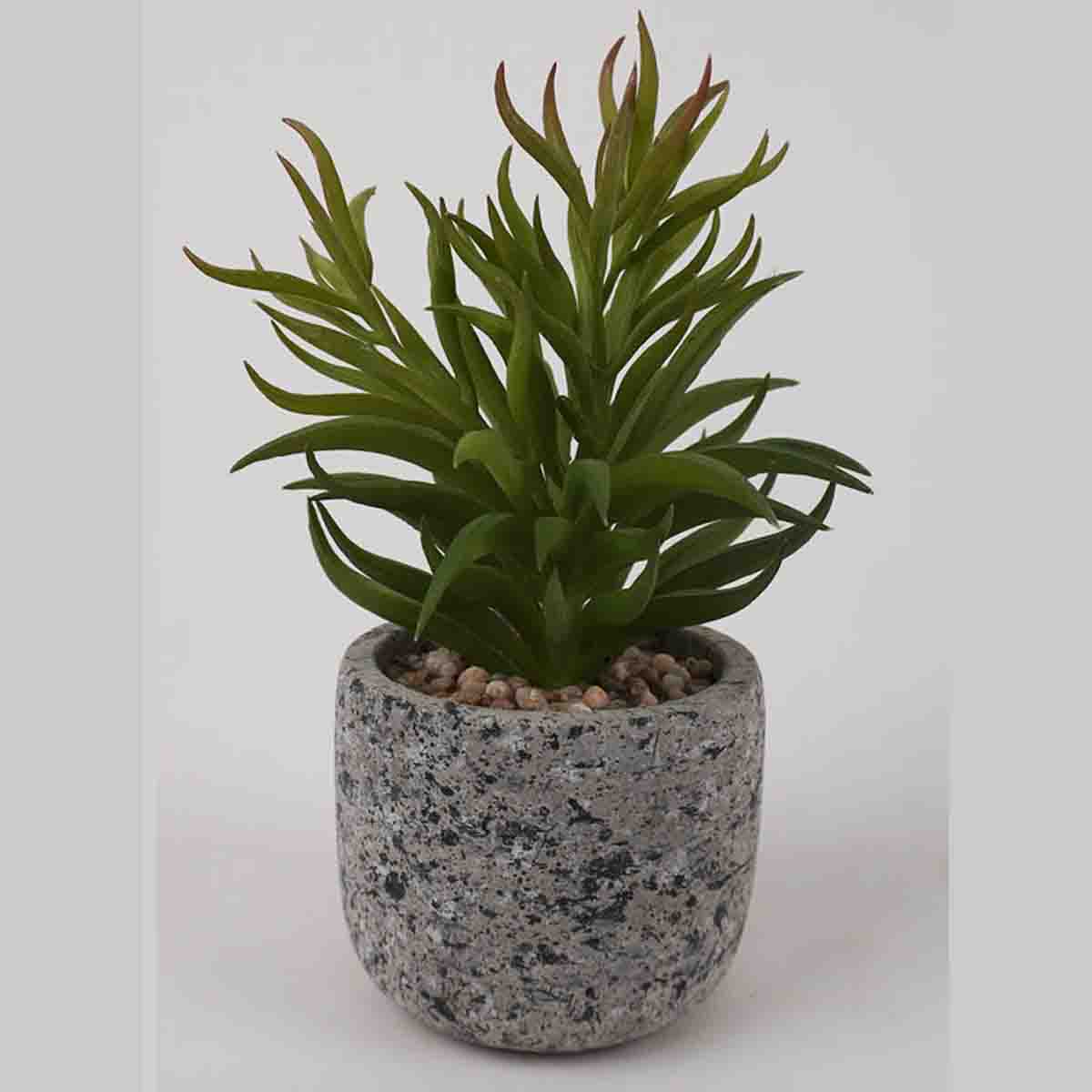 Lauren Taylor - Artificial Succulents in Grey Cement Pots 7"