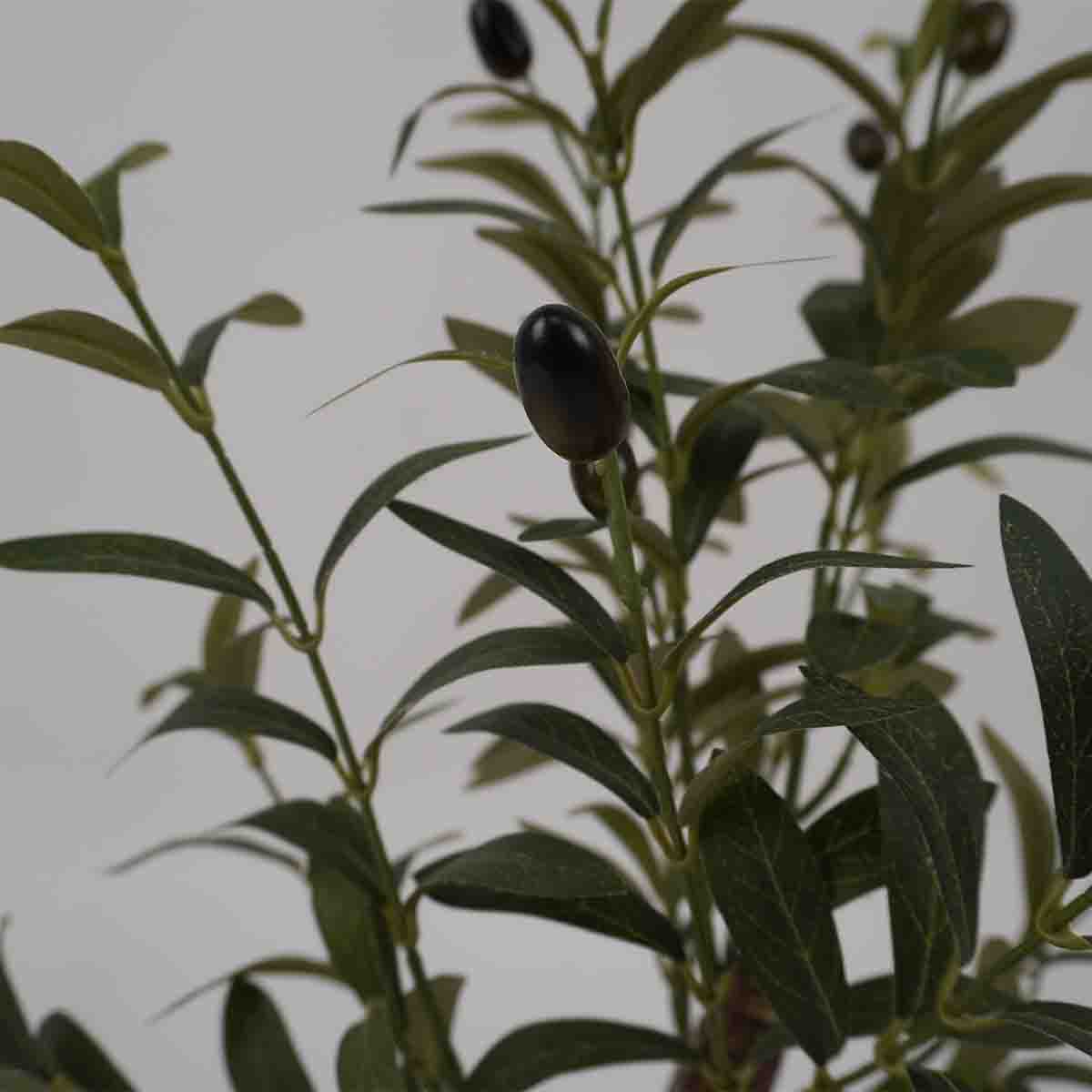 Lauren Taylor -Olive Tree 43cm White Pot