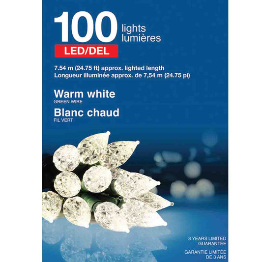 100 Teardrop Led Lights Indoor/outdoor