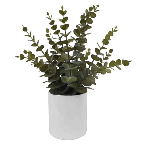 Artificial Eucalyptus Plant in white ceramic pot