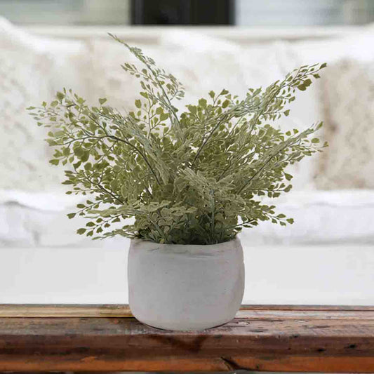 Artificial Fern in White Cement Pot