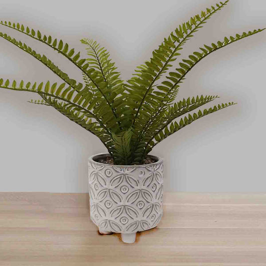 Artificial Fern in White Ceramic Footed Pot
