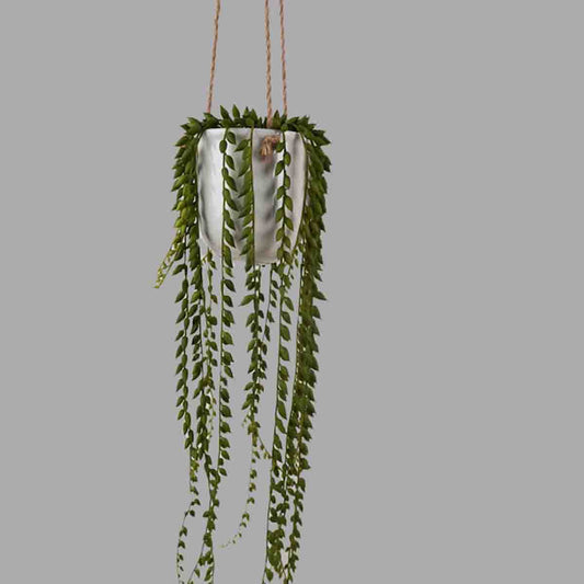 Artificial Hanging Pearl String in Ceramic Pot 56cm