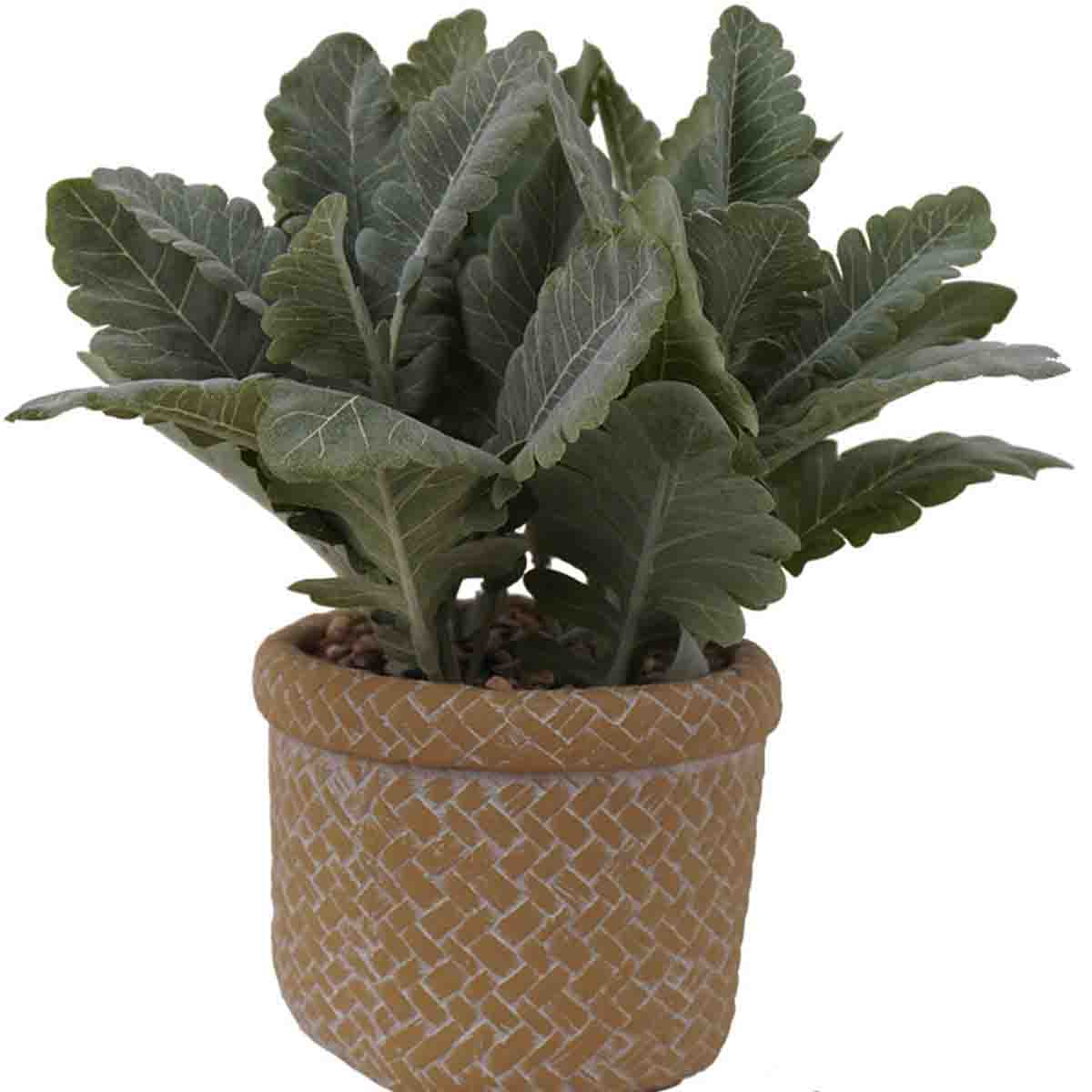Artificial Lamb's Ear in Beige Cement Pot