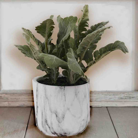 Artificial Lamb's Ear in White Marble Ceramic Pot