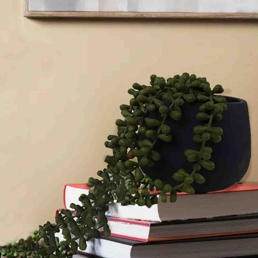 Artificial String of Pearls in Marble & Indigo Cement Pots