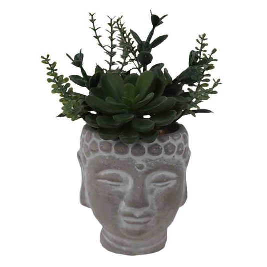 Artificial Succulent Plant in Buddha Head Cement Pot