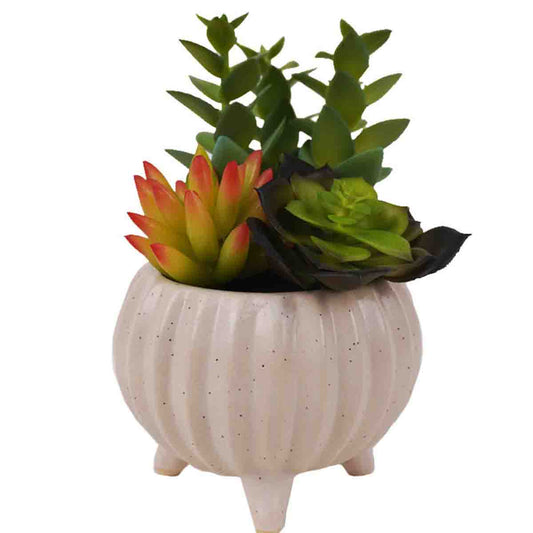 Artificial Succulent Plants in White Ceramic Footed Pot