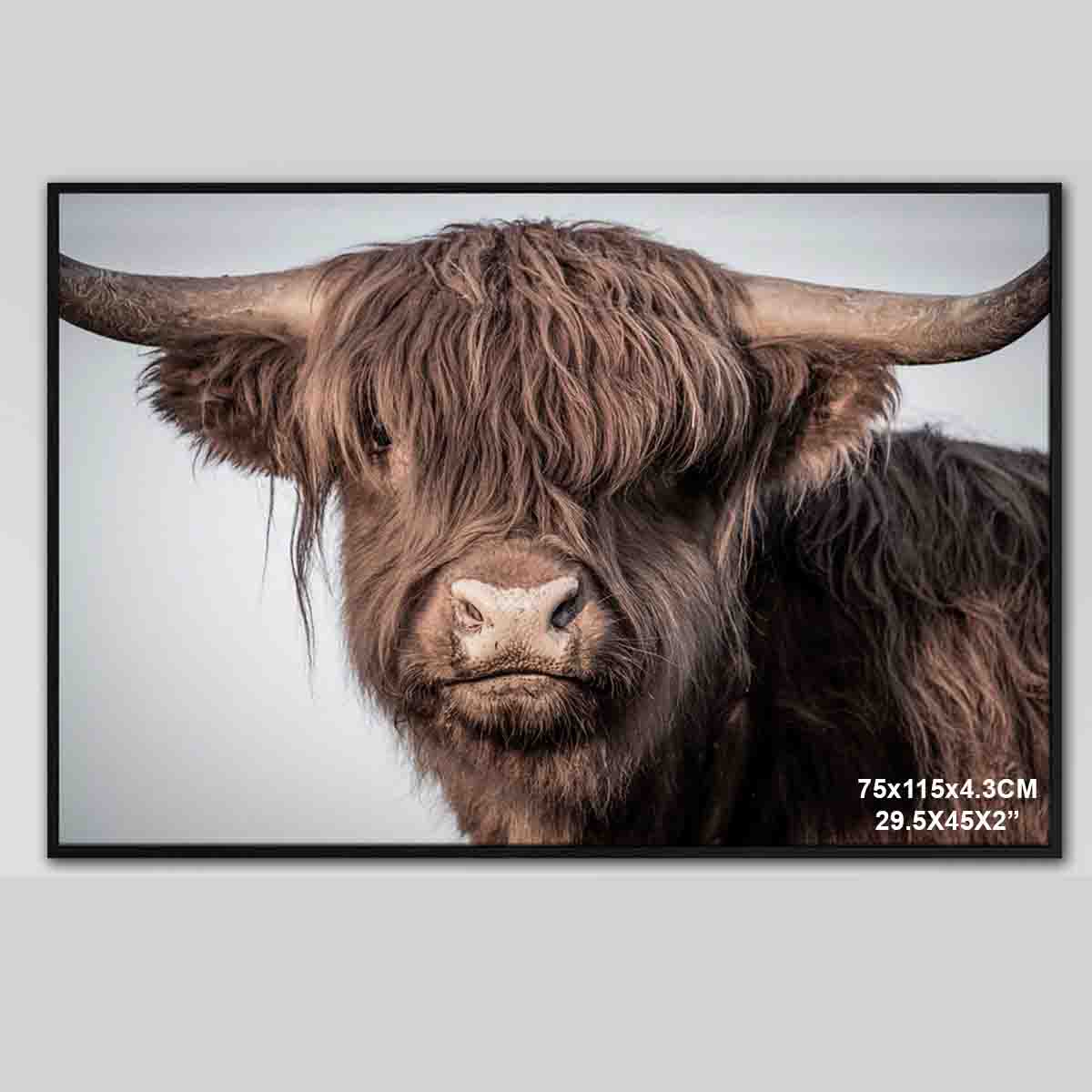 Lauren Taylor-animal Canvas