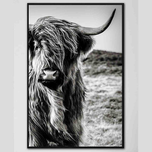 Lauren Taylor-animal Canvas Cow Field Print