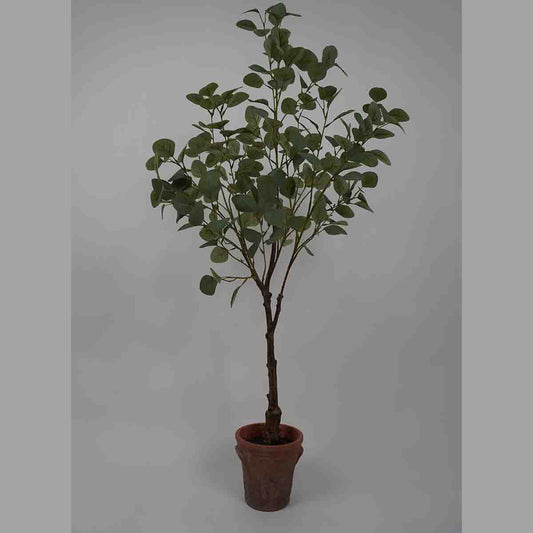 Lauren Taylor - Artificial Eucalyptus Tree in terra cotta Pot