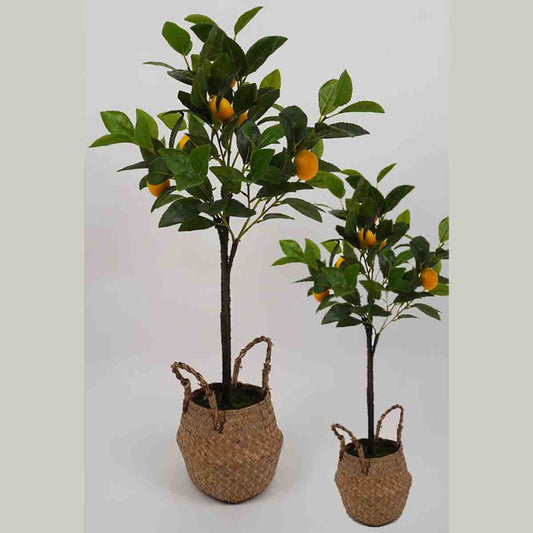 Lauren Taylor - Artificial Lemon Tree in Wicker Pot 80cm