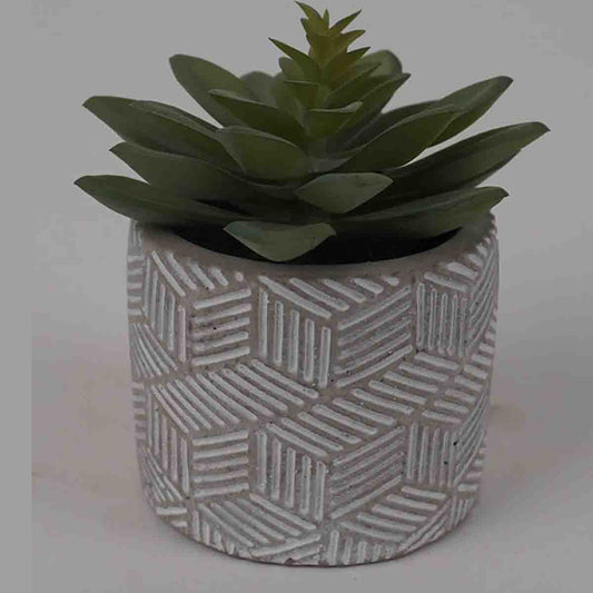 Lauren Taylor - Artificial Stout Succulents in Grey Cement Pot