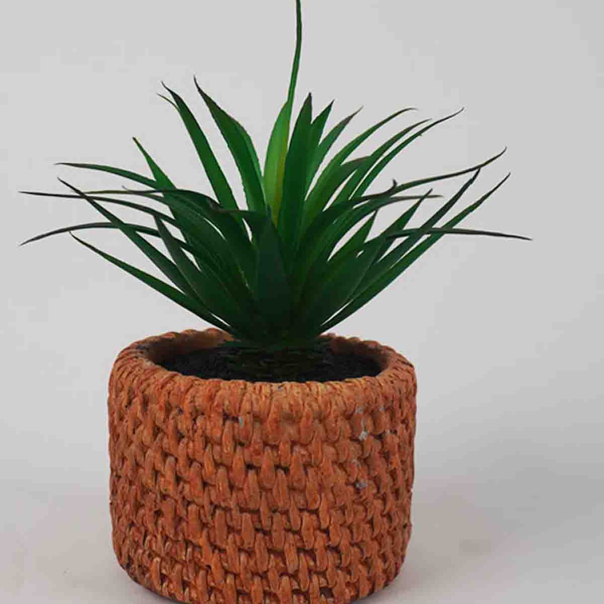 Lauren Taylor - Artificial Succulent in Cement Pot