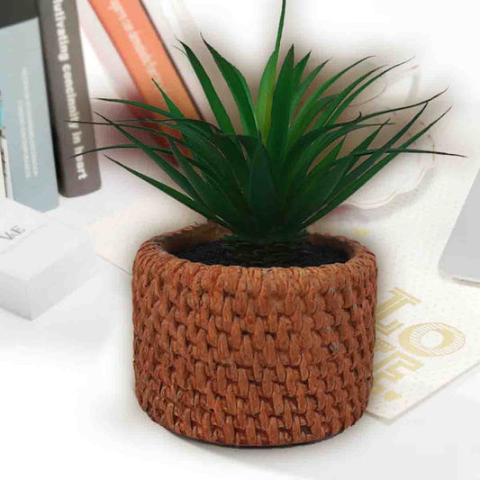 Lauren Taylor - Artificial Succulent in Cement Pot