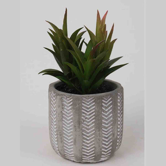 Lauren Taylor - Artificial Succulents in Grey Cement Pots 7"