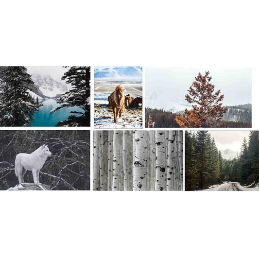 Lauren Taylor - Country Cabin Assorted Wall Art